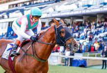 You ain’t ‘Seen’ nothing yet See It Again seeks redemption in the G1 Gold Challenge (1600m) at Greyville on Saturday.