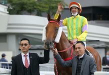 Frankie Lor armed up for Group 3 features at Sha Tin Frankie Lor (left) with Sword Point following victory.