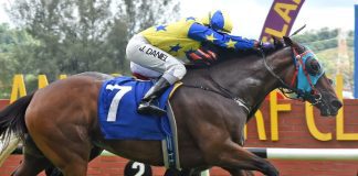 Quicken Away can bounce back for a win.