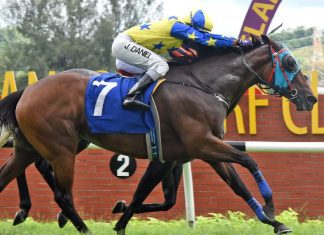 Quicken Away can bounce back for a win.