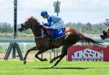 Big fields and competitive races at Fairview