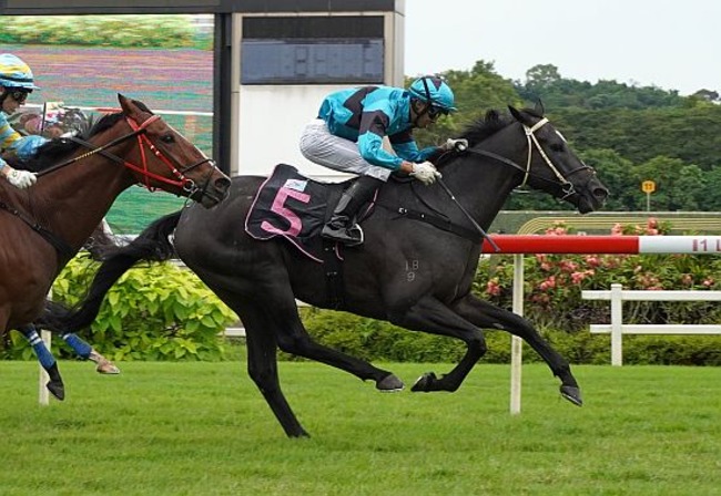 Run-Buddy-Run-220624 Run Buddy Run gives jockey Darren Danis his first win at Kranji in Race 5.