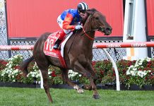 Tatt’s Tiara beckons for Bella Nipotina Bella Nipotina has drawn the carpark in the the Tatt's Tiara.