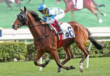 Galaxy Patch wins his fourth race at Sha Tin.