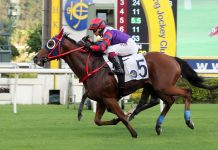 Happy Together is a six-time winner in Hong Kong.