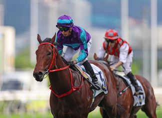 Dream Winner is a three-time winner in Hong Kong.