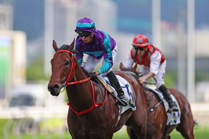 pic1_20240625_story Dream Winner is a three-time winner in Hong Kong.