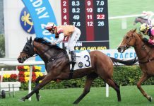 Atullibigeal has had a fine season.