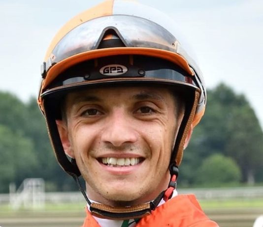 夏季杯豪华阵容