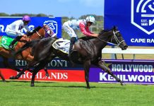Cape Racing roll the dice at Durbanville