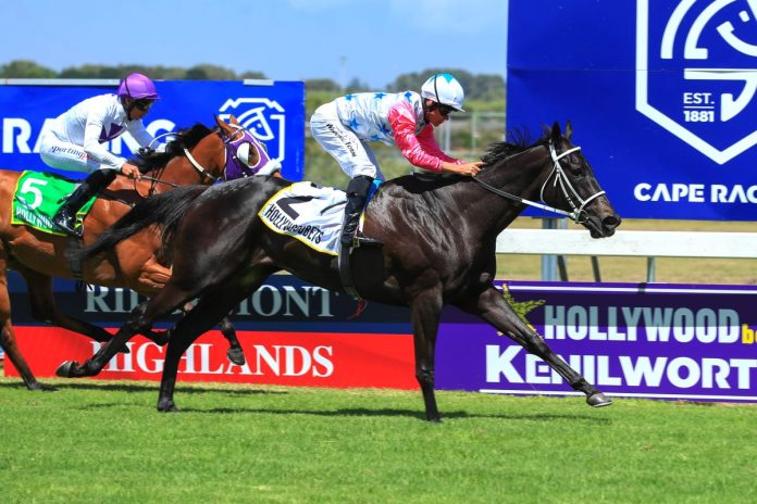 DURBANVILLE SHE'S MY CAPTAIN