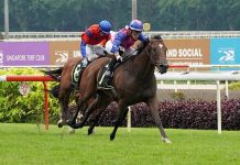 Fitzsimmons’ one-two punch in Lion City Cup