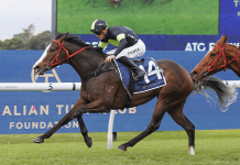 3YO In Flight to score four in a row