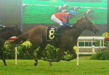 Gold shimmering over the horizon, but Derby first