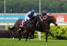 Lim’s Saltoro gives his all to claim Singapore Derby