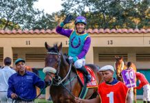 Selukwe favored for victory in Competitive Handicap