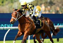 Autumn Glow to outshine her rivals