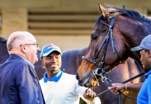 New Mexico could be a hot bet