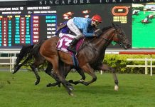 One last throw of the dice first-up for Gold Cup veteran