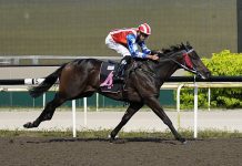 Favourite Big Union wins easily in Class 3 sprint