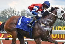 Gamestonks a class above his rivals