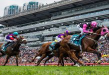Sha Tin Track Spy: Sunday, 1 February