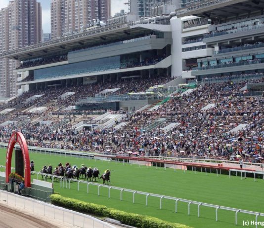 沙田晨课密探 – 11月9日 星期日