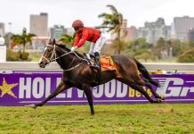 Artist can be a model man