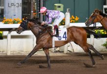 Adefill’s imposing dirt record boosts Karis Teetan’s confidence