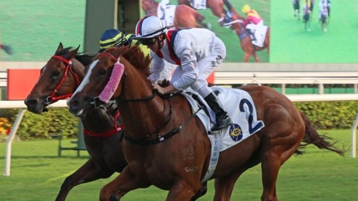 Stoltz claimed the G3 National Day Cup in 2023