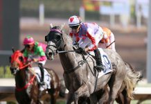 In-form Mark Newnham hopes timing is right for Talents Ambition