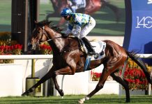 Galaxy Patch primed for G2 BOCHK Private Wealth Jockey Club Mile