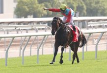 Ka Ying Rising smashes track record to claim G2 BOCHK Private Banking Jockey Club Sprint