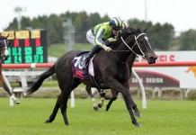 Marsh’s Fillies Set for 1000 Guineas Glory at Riccarton