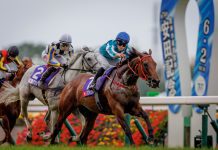 Danny Shum oozes confidence ahead of Romantic Warrior’s return