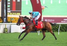 Romantic Warrior reigns supreme in return Group 2 victory