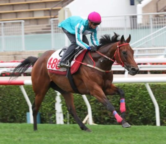 “浪漫勇士”再争锋