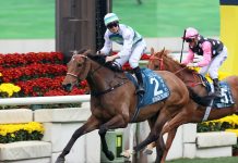 Voyage Bubble leads Yiu quartet at Sha Tin’s Group 2 triple-header
