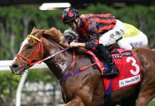 Harry Bentley reaches 100 Hong Kong wins