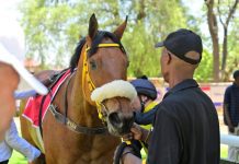 Woman Of Power deserves a clean win