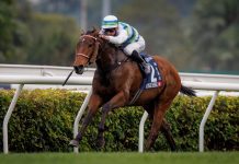 Voyage Bubble rises for LONGINES Hong Kong Mile triumph