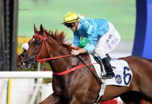 Zac Purton hopes to rebound aboard Wunderbar despite wide gate