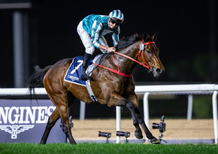 1)Romantic Warrior 24-01-25-2