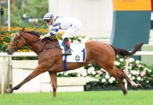 Rubylot leads Four-Year-Old Classic Series charge with Sha Tin victory