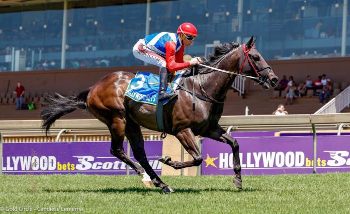 WILLIAM-ROBERTSON-696x426