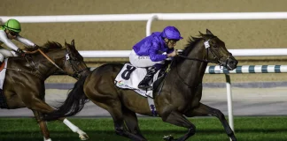 “创意故事”于美丹赛马场夺冠（图片来源：Dubai Racing Club）