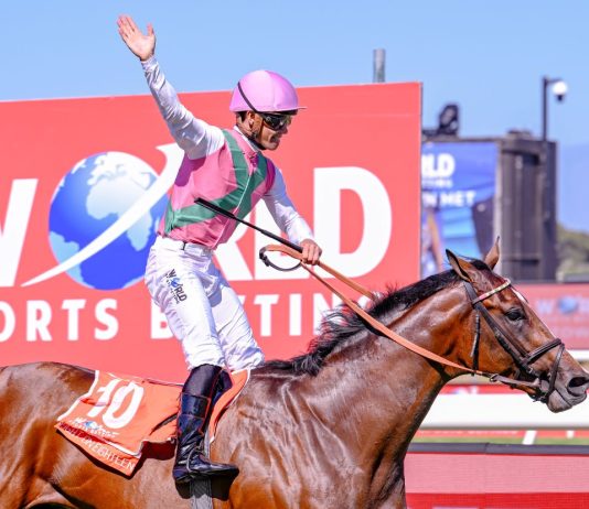 大都会锦标:战绩与实力的较量