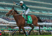 Melbourne Cup Carnival – Champions Day Preview