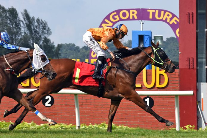 Antipodean-remains-unbeaten