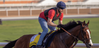 Dubai World Cup Trackwork: Facteur Cheval